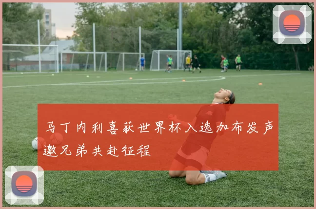 马丁内利喜获世界杯入选加布发声邀兄弟共赴征程